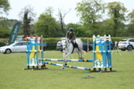 Class 15 - Absolute Novice 70cm portfolio