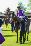 140525-Race 7-Great Bedwyn-3138