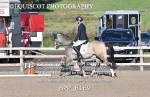 BPP_8169