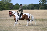 WJ7_7806