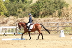SBM_001503