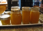Plum Jam-2