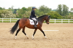 SBM_005670