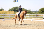 SBM_006570