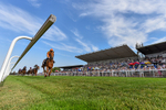 130826-Race 6-Saxon Grace-5270