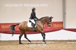BPP_8238