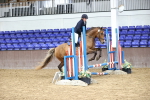 SBM_009495