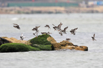 Turnstone portfolio