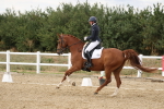 SBM_012015