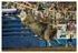 Rodeo Portfolio - Bull Riding 02