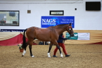 SBM_16190
