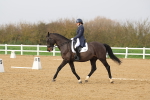 SBM_003393