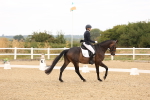 SBM_000797