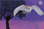 Night Flight