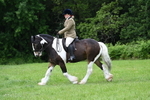 WJ7_2343