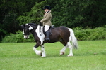 WJ7_2337