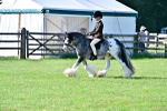 SBM_11532
