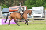 SBM_12662
