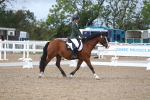 SBM_00286