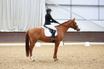 SBM_001218