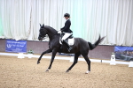 SBM_008081