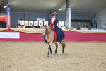 Class 107 - Ridden Costume = Astride Adult (15-19) portfolio