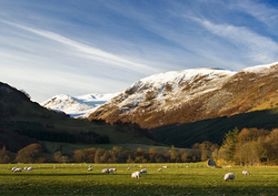 Landscapes portfolio