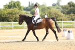 SBM_007494