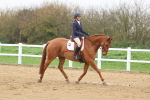 SBM_002584