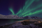 Northern light over adventfjorden