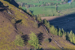 Lords Seat-8