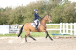 SBM_004207
