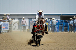 3HRodeo8-11-25_PRCASteer_05495_
