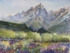 WCL 10123 Springtime in the Tetons