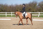 SBM_001975