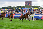 210826-Race 1-Blue Courvoisier-4963