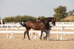 SBM_08134