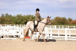 SBM_14351