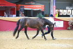 SBM_16668