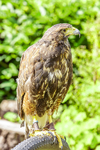 0628 IMG_6608