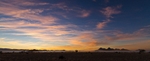Namib Dawn