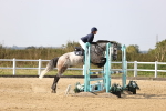 SBM_03368