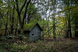 Catskill Game Farm (Catskill, NY) | Small Shed
