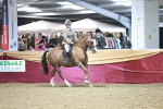 SBM_08960