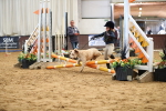 SBM_001134