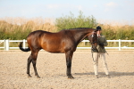 SBM_08659