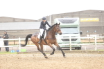 SBM_001850