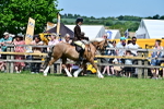 SBM_07885
