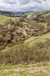 Beeston Tor