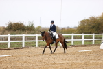 SBM_000703